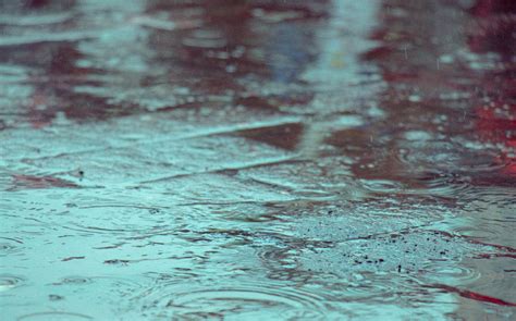 雨天照片|超过 400 张关于“下雨天”和“雨”的免费图片